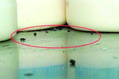 韩寒武汉餐厅被关停 餐桌上都能看到老鼠屎