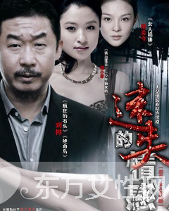 24集电视剧《迷失的情感》剧情介绍 迷失的情感演员表大结局