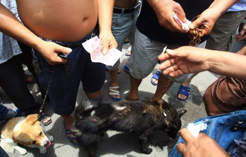 玉林狗肉节辩论会 玉林狗肉节杀狗图片