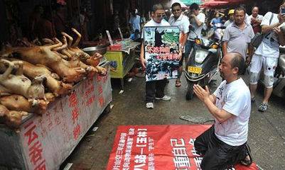 玉林狗肉节辩论会 玉林狗肉节杀狗图片