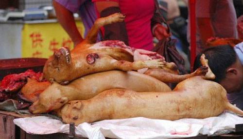 玉林狗肉节辩论会 玉林狗肉节杀狗图片