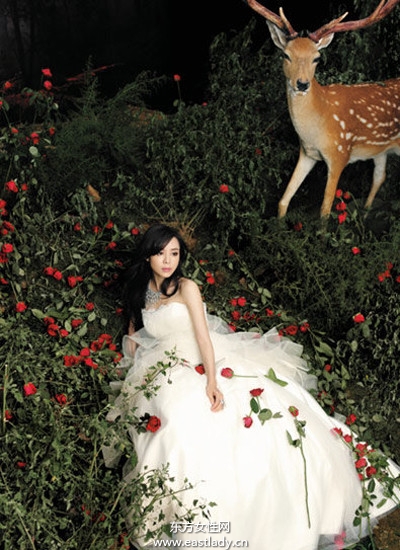 张静初优雅装扮演绎性感女人