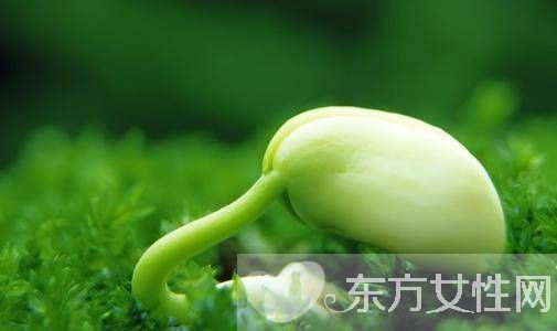 2017单品盛宴 时尚喇叭袖正式回归