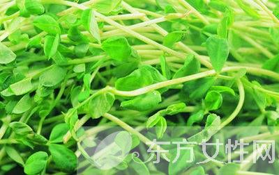 2017单品盛宴 时尚喇叭袖正式回归