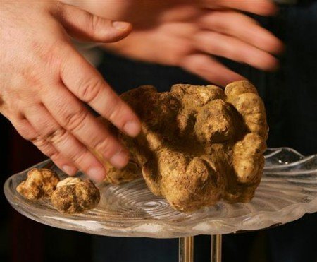 奢侈品洛世奇水晶紧身连衣裙 你肯为她买单吗