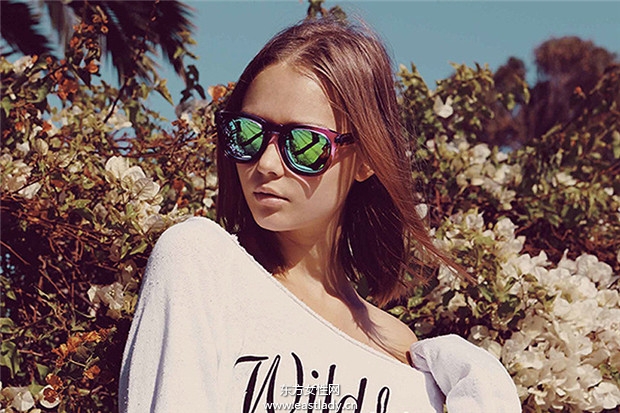 Wildfox Sun 2013夏季太阳镜系列