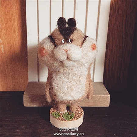 长胡子的鞋猫也太幽默 表情逗趣又微窘的困惑萌动物羊毛毡