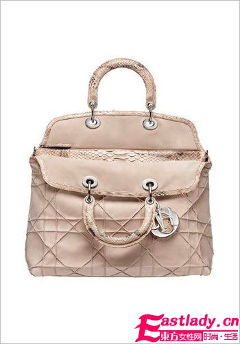 Christian Dior手袋 明星秋冬必备