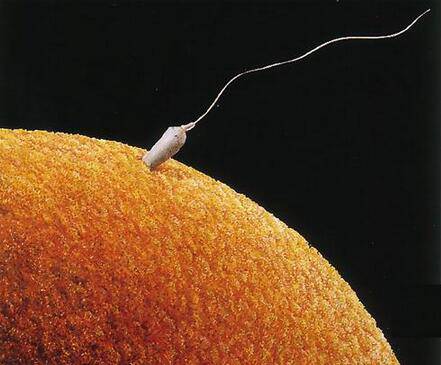 最佳受孕姿势真人教学 这么做最容易怀上宝宝