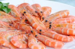 孕妇可以吃虾吗 孕妇吃虾有哪些注意事项