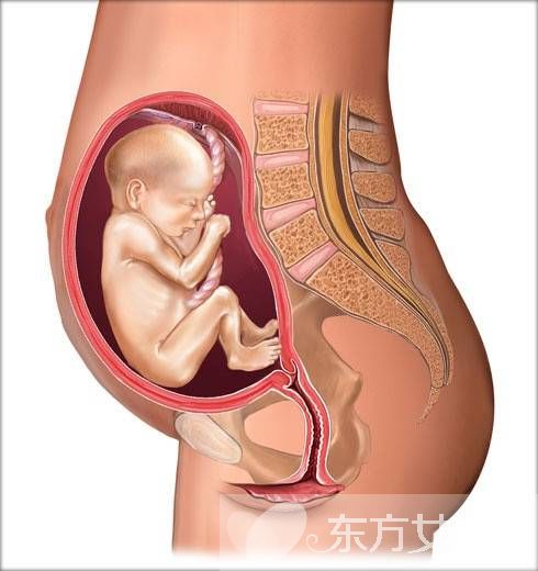 胎儿发育迟缓的原因 胎儿宫内发育迟缓的危害