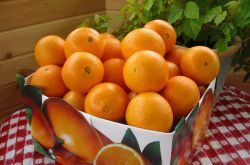 孕妇可以吃橙子吗  孕期吃什么宝宝皮肤白