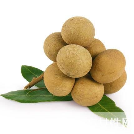 孕妇可以吃龙眼吗 适合孕妈夏天食用的水果