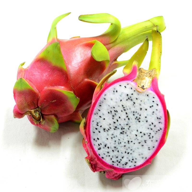 孕妇可以吃火龙果吗 孕妇吃火龙果要注意哪些方面