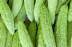 孕妇可以吃苦瓜吗 孕妇吃苦瓜的坏处有哪些