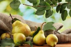 孕妇可以吃梨吗 这些水果孕妇最好不要吃哦