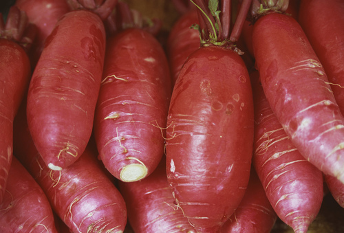 感冒咳嗽吃什么食物好 十款速效食疗方见效快