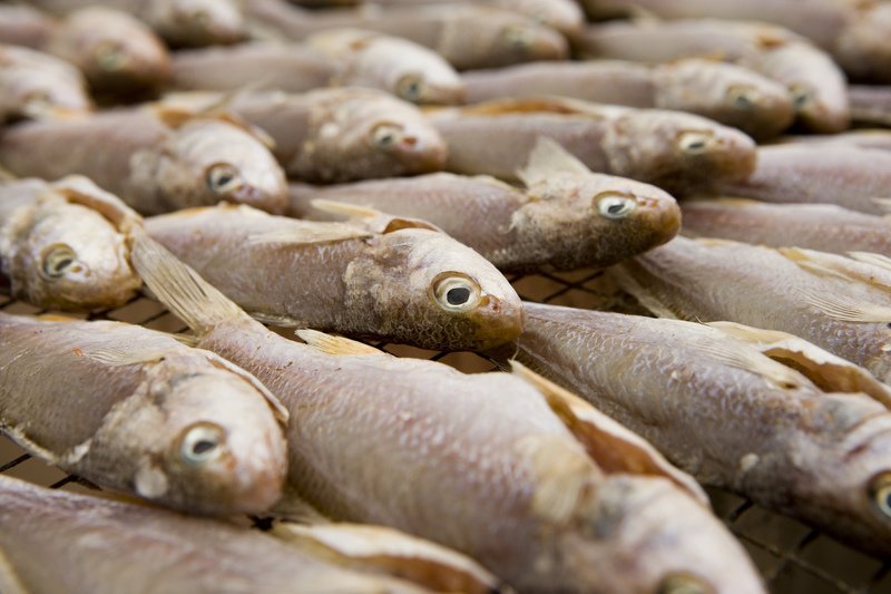 孕妇吃什么鱼好 孕期孕妇吃鱼的注意事项