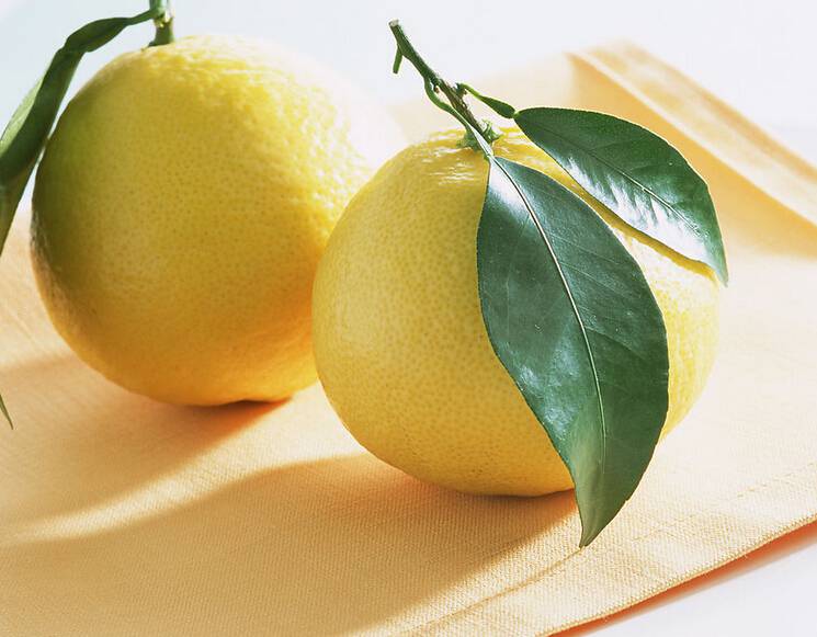 孕妇吃柚子好吗 孕妇吃柚子有什么好处