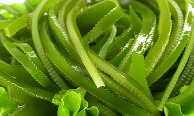 刚怀孕吃什么好 10种食物有助胎儿发育