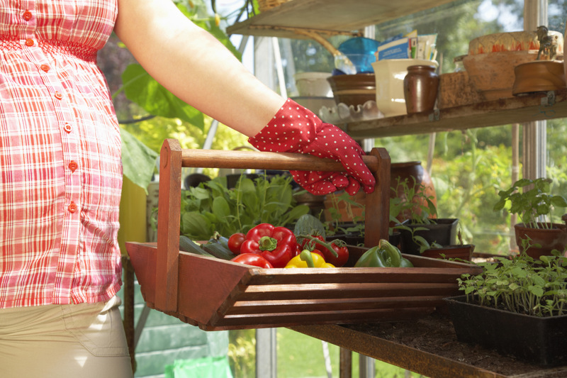 怀孕初期饮食有讲究 10类食物不要吃