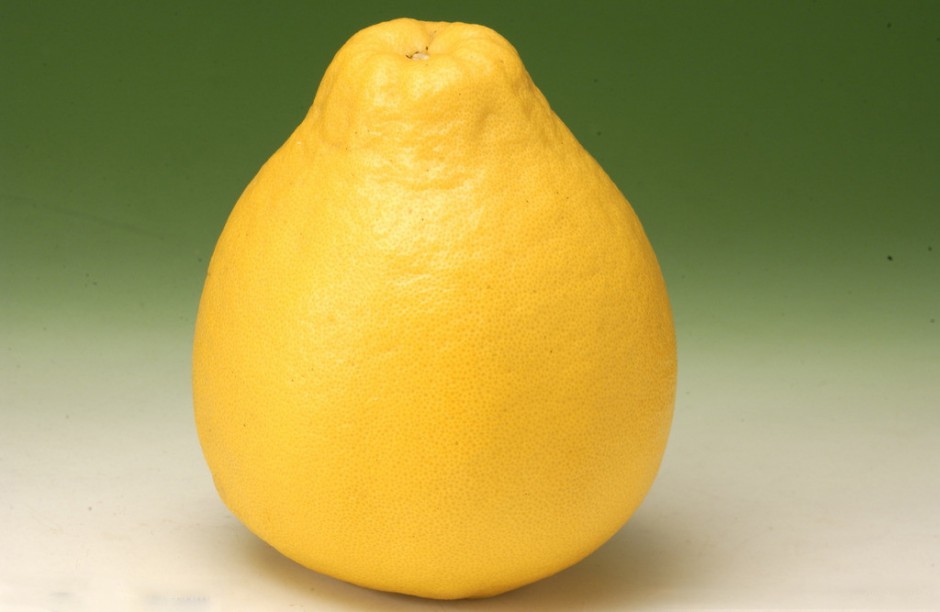 孕妇吃柚子好吗 孕妇吃柚子有什么好处