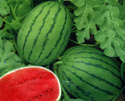 孕妇不能吃什么水果 这些怀孕饮食禁忌要知道