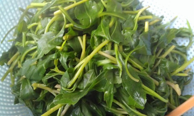 孕妇吃什么菜好 揭孕期最宜吃的七种蔬菜