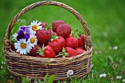 哺乳期能吃什么水果  哺乳期吃水果有什么好处