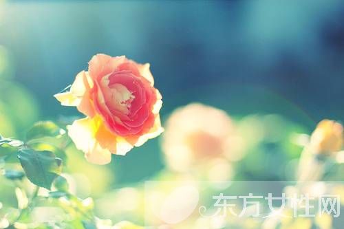 产后出汗多是什么原因 学会这些就轻松解决了