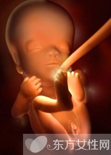 科普知识36周胎儿发育情况 胎儿发育标准指标