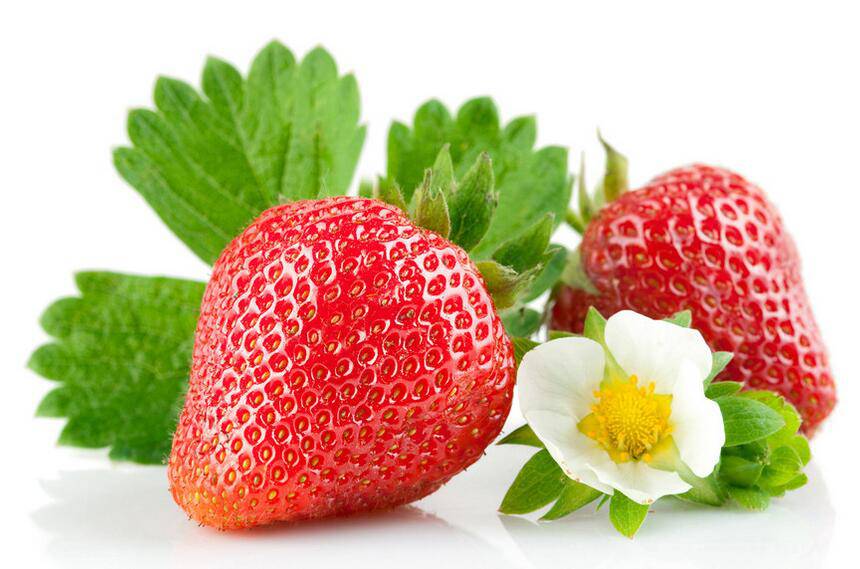 宝宝流鼻血要警惕 可能是白血病惹的祸