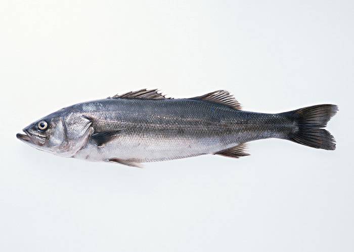 冬季快速减肥方法 5种食物要多吃