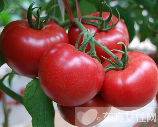 如何快速减肥瘦身 吃这水果减肥最快