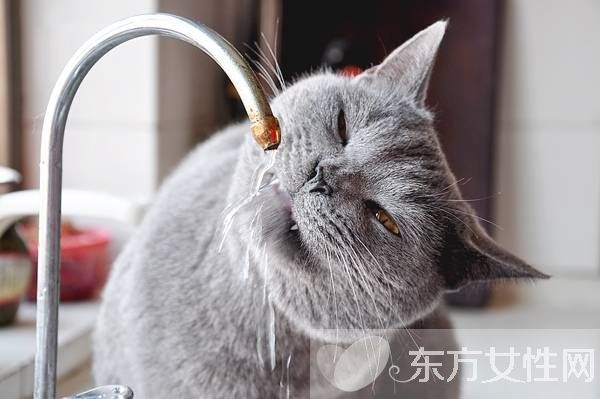 喝水减肥法最佳时间表 不用节食也能瘦出好身材