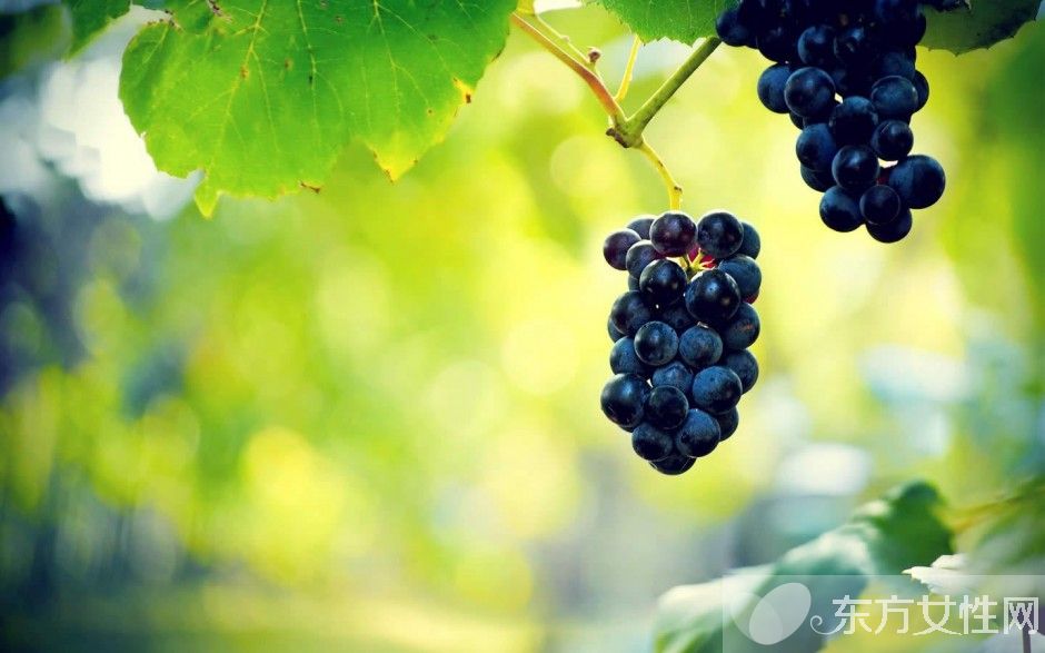 怎么样快速减肥 三大减肥法打造惹火身材