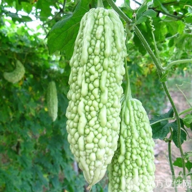 怎么样快速减肥 三大减肥法打造惹火身材