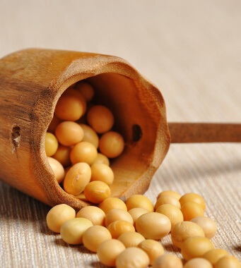 怎么减肥 教你8个饮食减肥妙招