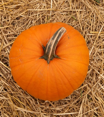 怎么减肥 教你8个饮食减肥妙招