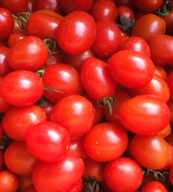 怎么减小肚腩 让女人小肚腩消失无踪的水果