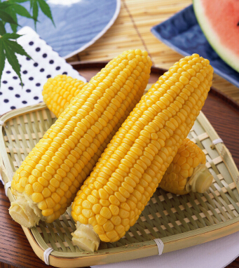 吃玉米会胖吗 巧吃玉米不做 小腹婆