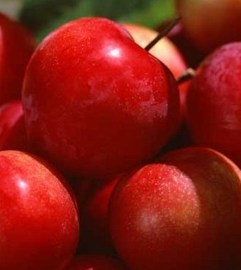 瘦身减肥方法 二十种世界公认减肥食品