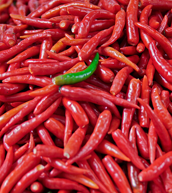 月经期间怎么减肥 经期抓住四个阶段让你瘦