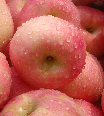 苹果减肥法 吃苹果减肥的原因和方法