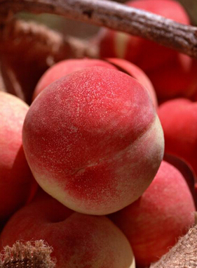 如何利用经期减肥 经期减肥注意事项