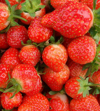 吃什么水果减肥最快 5大技巧让你拒绝脂肪