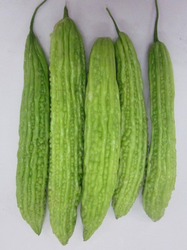 苦瓜的做法 夏季苦瓜瘦身纤点子大推荐