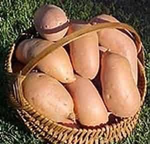 细腰美人的饮食改善法