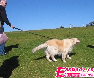 做好6件事 不费力气减肥