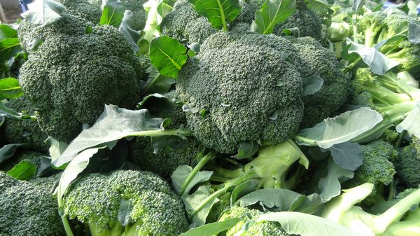 如何瘦肚子  炫腹季 这些食物来帮你